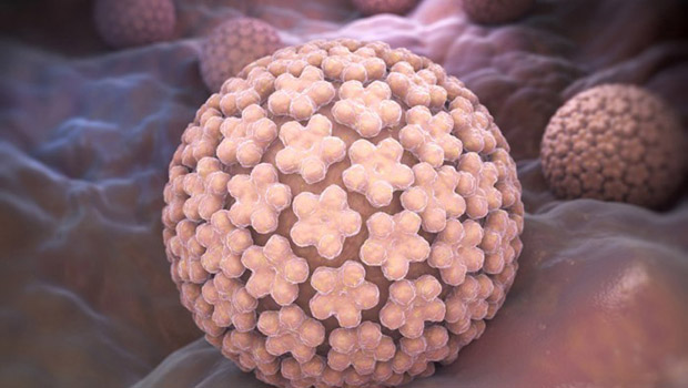 Οι φάσεις της λοίμωξης από HPV